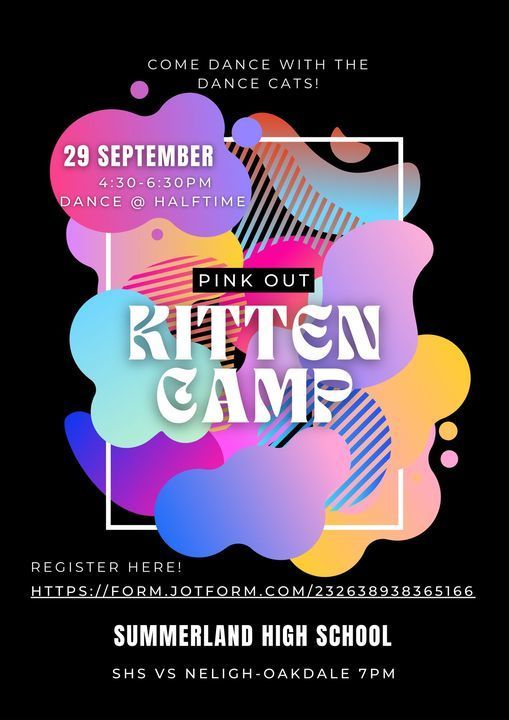 Dance Cats Kitten Camp - Sept 29th