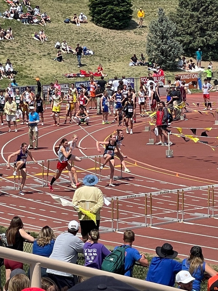 hurdles
